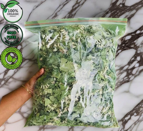 Calea Zacatechichi Mexican Dream Herb Hieba de Los suenos Leaf of God Herbal Tea