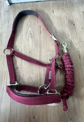 Harry's Horse Nylon-Halfter Bordeauxrot für Vollblut mit Führstrick, gebraucht