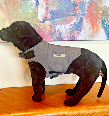ThunderShirt Medium Dog Anxiety Calming Vest Wrap Jacket Gray Thunderworks 
