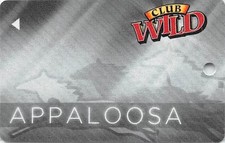 Wildhorse Casino - Pendleton, OR - 6th Issue Slot Card (BLANK)