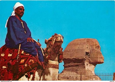 Postcard - Egypt - Giza - Giza - Camel driver near the famous Sphinx - Ch