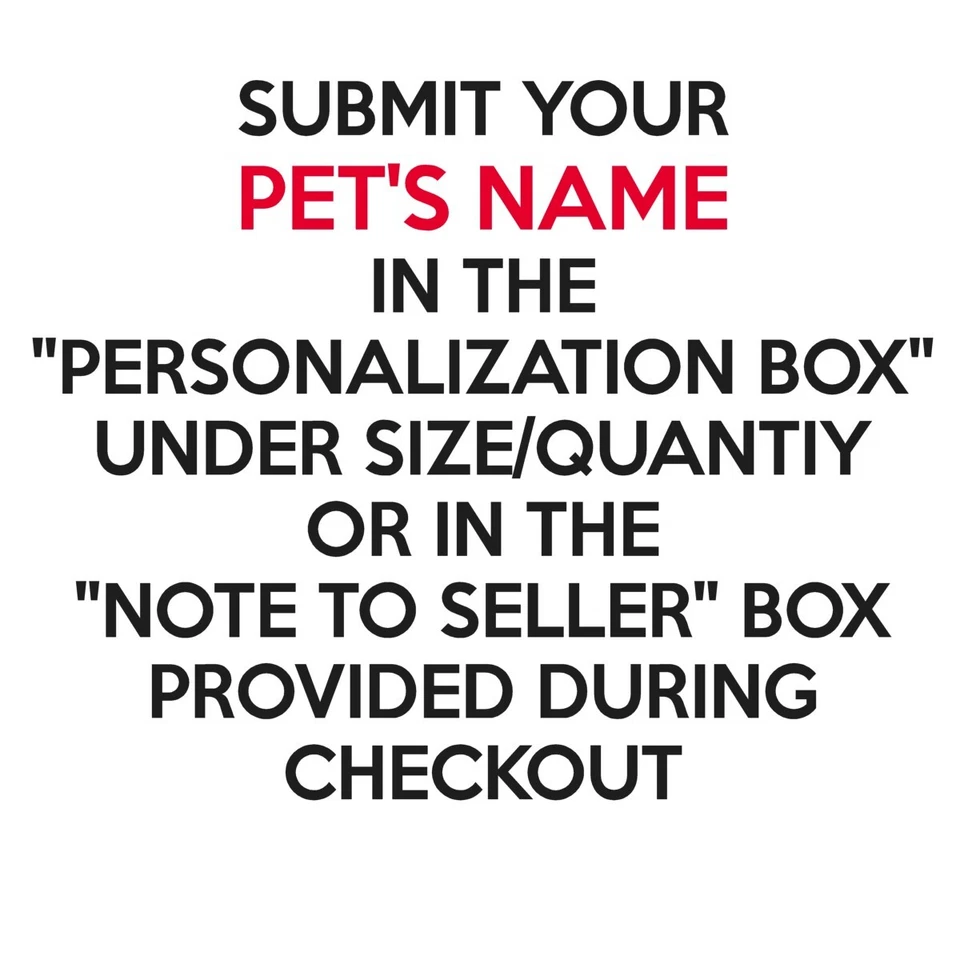 Framed & Personalized BEAGLE Photo Picture DOG NAME Pet Print 8x10 or 11x14 (P1) - Image 2 of 4