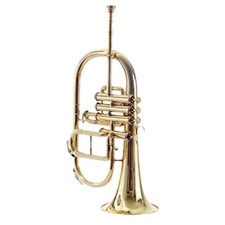 Flugelhorn Bb 4 valves Gold Plated Horn With Free Hard Case  Mouthpiece