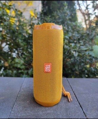 Bluetooth Speaker Water Resistant Portable 360 Stereo Loud FM AUX TF USB- Gold