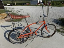 eBay Auction Picture