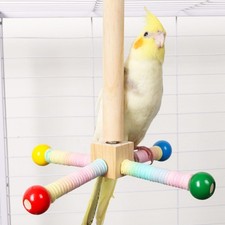 Bird Perch Toy Wooden Exercise Parrot Toy for Lovebirds Conures Cockatiels