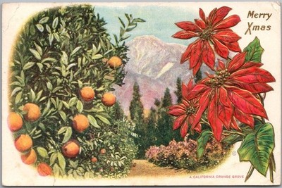 Vintage 1915 California CHRISTMAS Embossed Postcard ''Orange Grove'' Merry Xmas