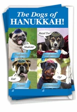 12 Chanukah Cards Pack (1 Design, 12 Cards) - Dogs Of Hanukkah B2547HKG