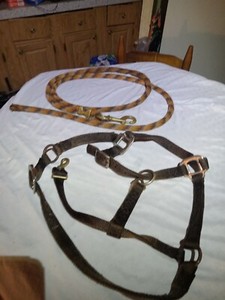 Fabtronharness And Lead Rope Dark Brown And Tan With Light Orange In Lead For...