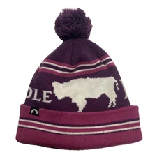 Cirque Mountain Apparel Jackson Hole Wy hat beanie Purple Pom Pom