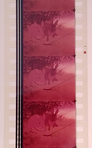 35mm Feature Film – Watership Down 1978 - Foto 5 di 11