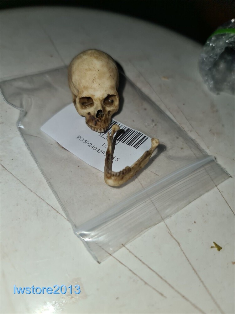 Picture 2 of 8