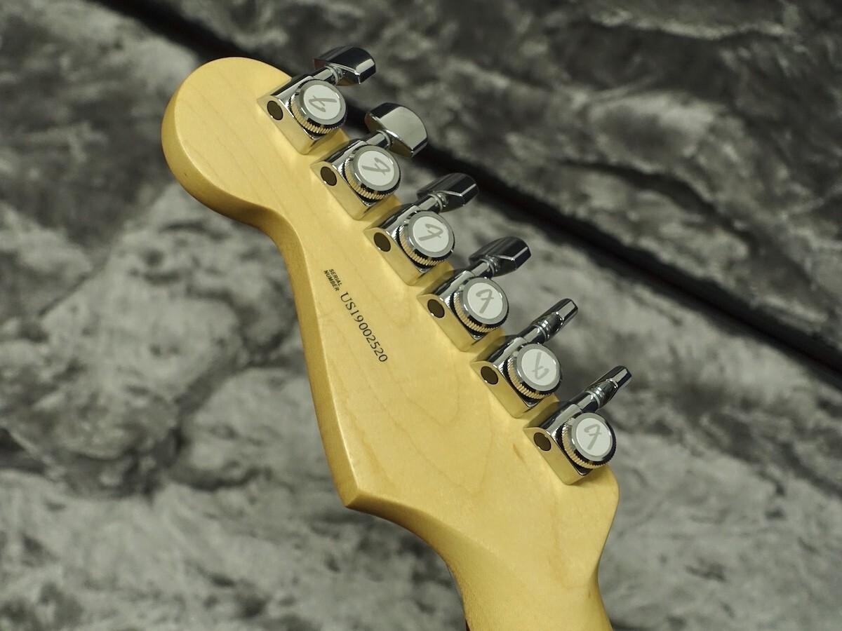 ギター Fender USA Professional Stratocaster Ash Fender Limited Edition Lightweight Ash American Professional