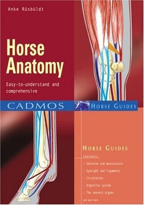 Horse Anatomy: Easy-To-Understand and Comprehensi by Ruesbueldt, Anke 3861279517
