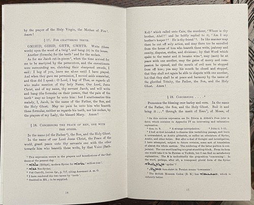 BOOK OF PROTECTION - 2001 - ANCIENT SYRIAN MAGICK BINDING SPELLS GRIMOIRE - Picture 8 of 8