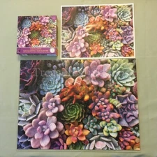 Pastels Succulents Jigsaw Puzzle 2021 Ceaco 300 pc Fairyblooms Original Owner