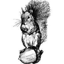 'Squirrel With Acorn' Unmounted Rubber Stamp (RS013516)