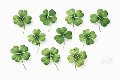 4 Blatt Kleeblatt Aufkleber 10er Set Glück grün Sticker zufällig 3,8-4,5 cm