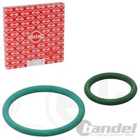 Elring Dichtungssatz Einspritzpumpe Passend FüR CitroËN C4 C5 C8 DS4 DS5 Jumpy