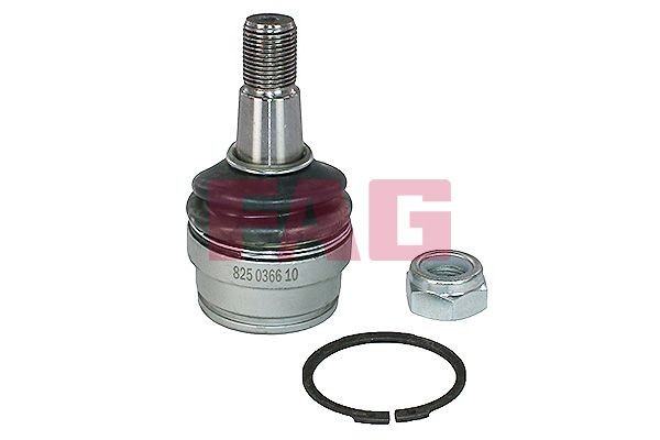 NEU - Schaeffler FAG 825036610 Trag-/FüHrungsgelenk FüR Toyota-image