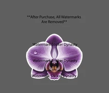 Orchid Sticker Waterproof Decal Flower Floral Outdoor Nature Beauty Gift NEW