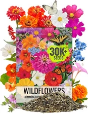 Wildflower Seeds Butterfly Hummingbird Mix 2 Ounce Mixed for Garden