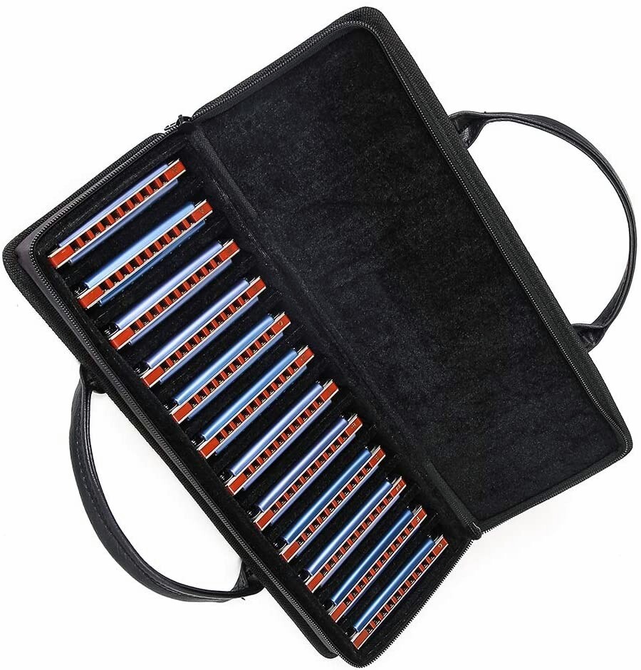 EASTTOP Diatonic Blue Harmonica Set of 12 10Holes Mouth Organ Harmonica Set Gift