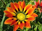 Bild 2 von 8