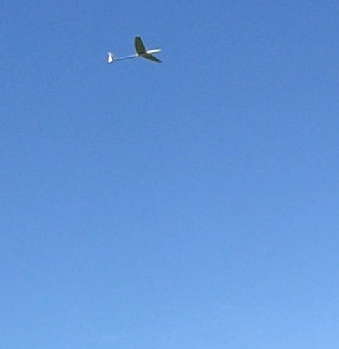 RC Segler, Glider DM12C SET-Angebot mit Hilfsantrieb, Segelflugzeug in CFK/GFK! - Bild 4 von 5