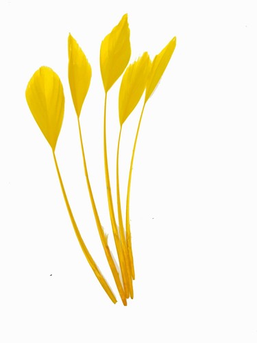 Lange Faszinatoren Federn gestreift Rumpf Millery Hüte Beschneidungen farbiges Handwerk - Bild 10 von 39