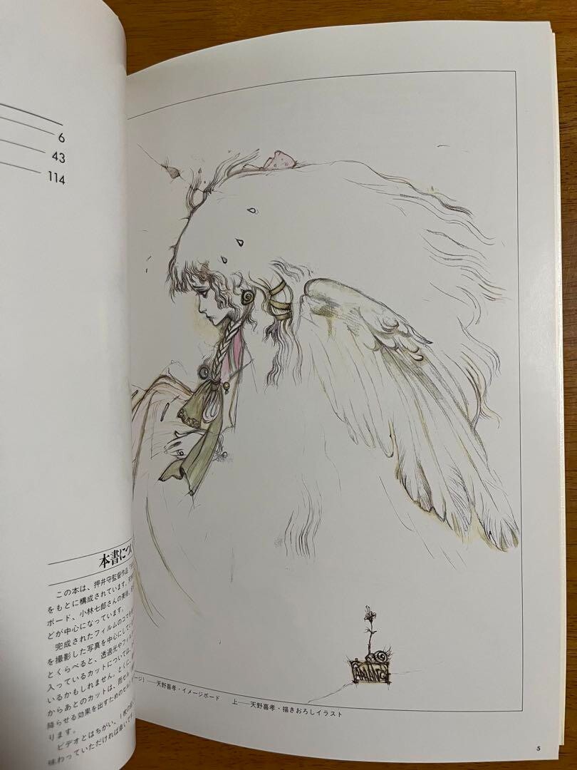 Angel's Egg Yoshitaka Amano The Art of Tenshi no Tamago Art