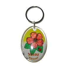Maui Hawaii Key Chain Red Hibiscus Flower Clear Lucite