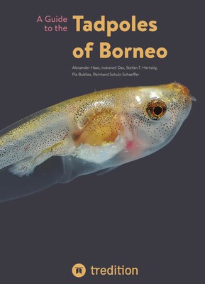 A Guide to the Tadpoles of Borneo Alexander Haas (u. a.) Taschenbuch 284 S. 2022