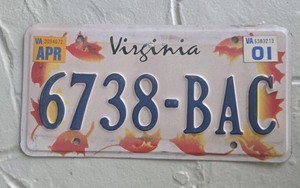 2001 Virginia "Falling Leaves" 2nd Issue License Plate
