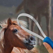 Pferdehaarschaberb&uuml;rste mit Griff, Lockenstab Set