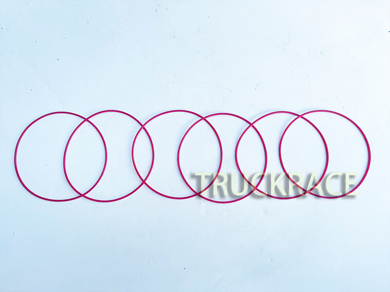 Cummins ISX ISX15 QSX 3678738 Cylinder Liner Seal O Ring