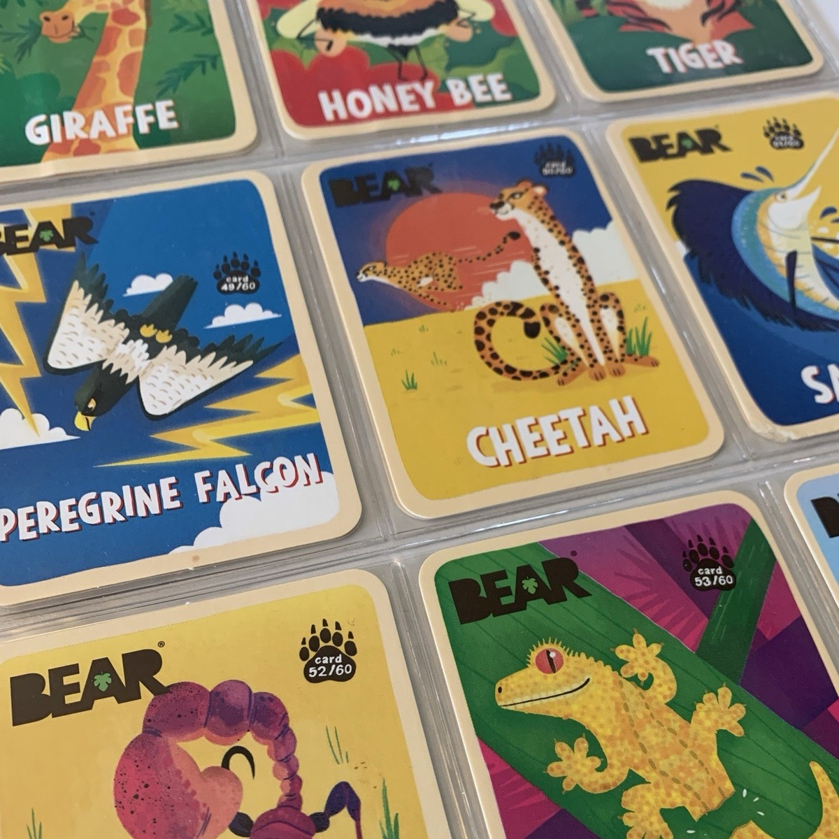 Walrus Bear Snack Card #3/60 Kids Fruit Rolls Collectible Animal Trading Cards Walrus Bear Snack Card #3/60 Kids Fruit Rolls Collectible Animal Trading Cards