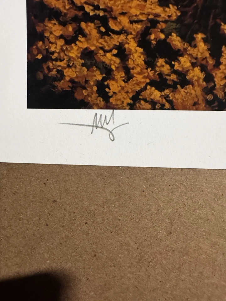 Mark Maggiori “Inseperables” Firmado Edición Limitada 20x15 XX/541 Foto 3 de 4