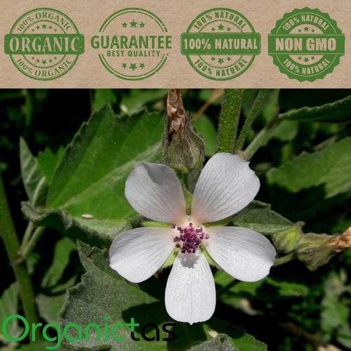 Organic Marshmallow Leaf Tea Loose Dried Althaea Officinalis Herb with Benefits - Picture 7 of 12