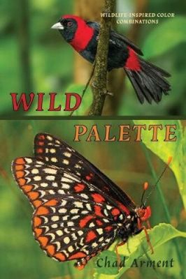 Wild Palette: Wildlife-Inspired Color Combinations for Creature Modeling,