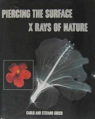 Piercing the Surface : X Rays of Nature Hardcover Stefano, Greco,