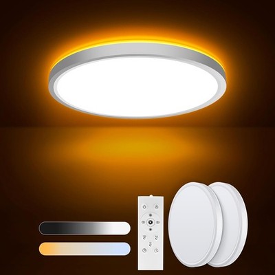 LED Ceiling Light Dimmable with Remote Control,18 W Diameter 22 cm Ceiling Light