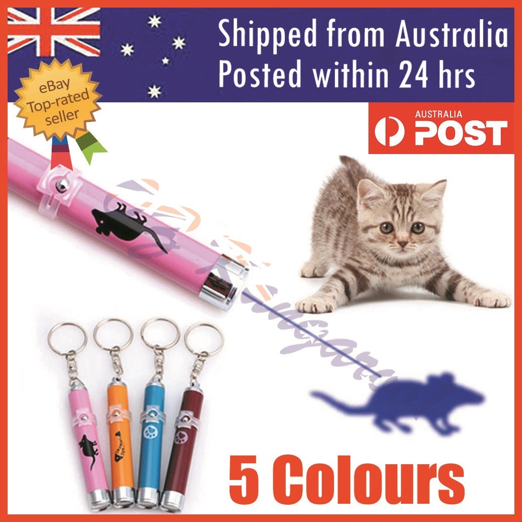 Cat LED Laser Pointer Toy With Bright Mouse Animation For Endless
