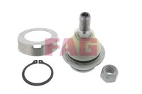NEU - Schaeffler FAG 825010410 Trag-/FüHrungsgelenk FüR Ford