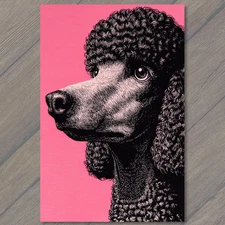 Art Print Elegant Poodle Dog Curly Fur Pink Background Fancy Serious Retro Style