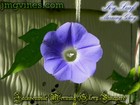Foto 4 di 6
