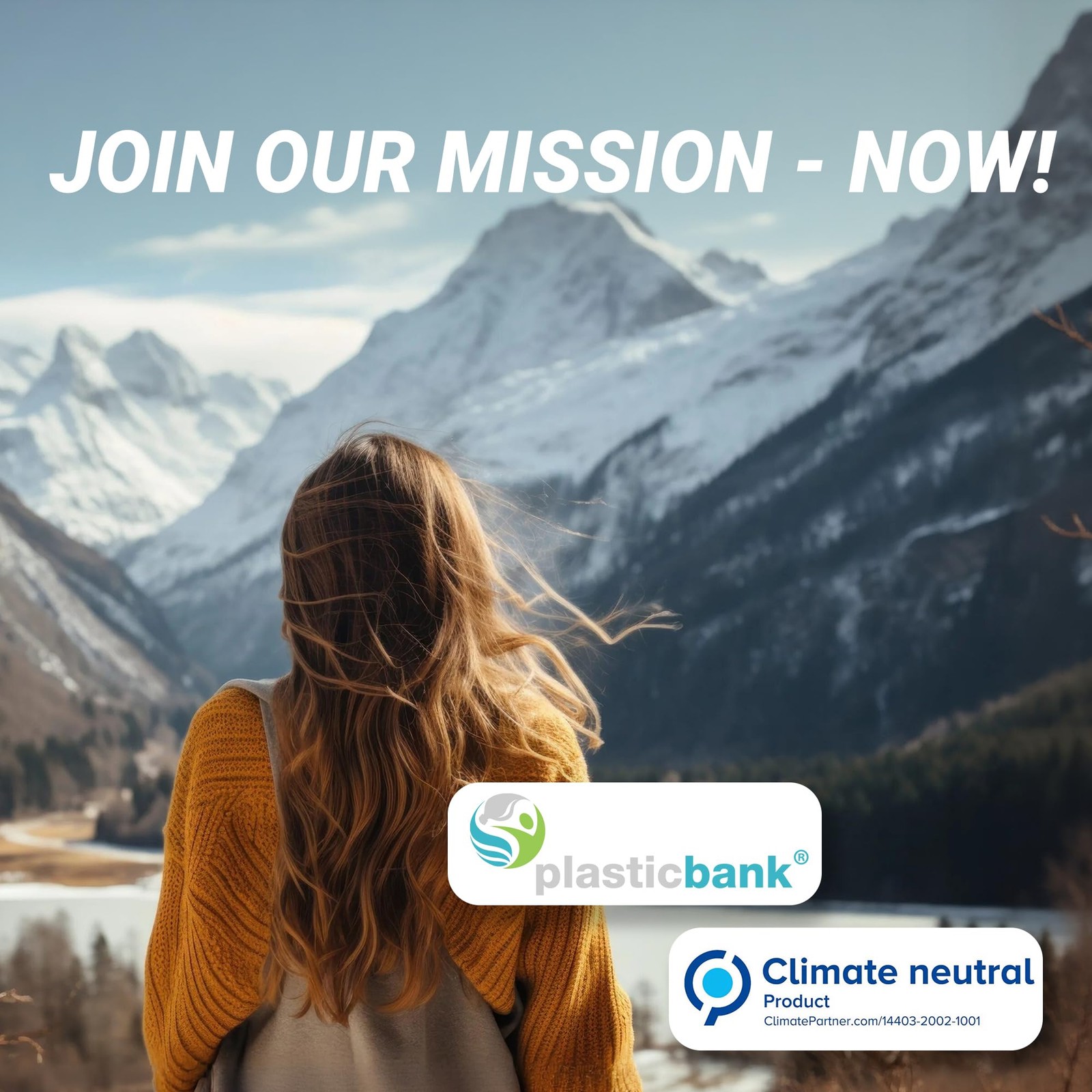 6 Pack Clear Hard Shell Zipper Case (2 Small, 2 Medium, 2 Large), See-Through...