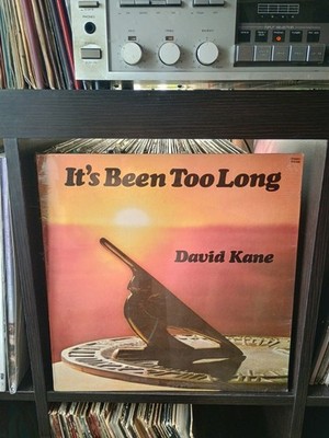 David Kane LP It's Been Too Long -Sealed New Vinyl