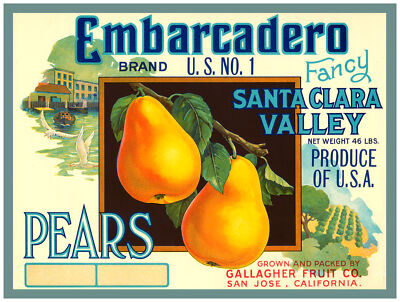 8811.Embarcadero brand.fancy pears.santa clara.POSTER.wall decor graphic art
