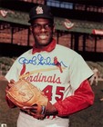 Bob Gibson Cardinals Signed 8x10 Photo Autograph Auto PSA/DNA AM74677